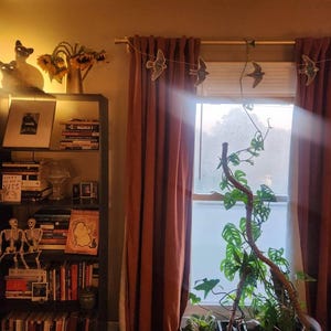Kelli added a photo of their purchase