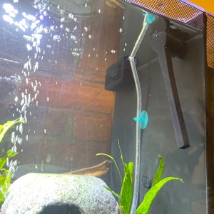 Sarah added a photo of their purchase