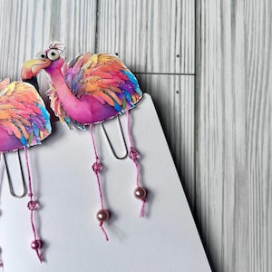 Lolly added a photo of their purchase