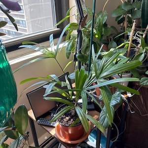Christine added a photo of their purchase