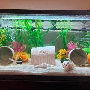 Kelly added a photo of their purchase