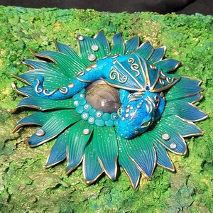 T adicionaram uma foto da sua compra