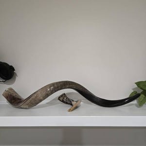 Hunter heeft een foto van zijn/haar aankoop toegevoegd