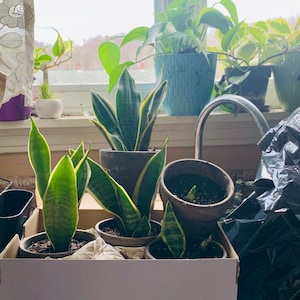 Kelly added a photo of their purchase
