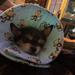 Tina added a photo of their purchase