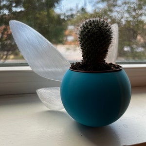 Elliot ha añadido una foto de su compra