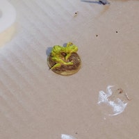 Lab Rats Fantasy Football Team / Rat Fantasy Football Team / Rat Team ...