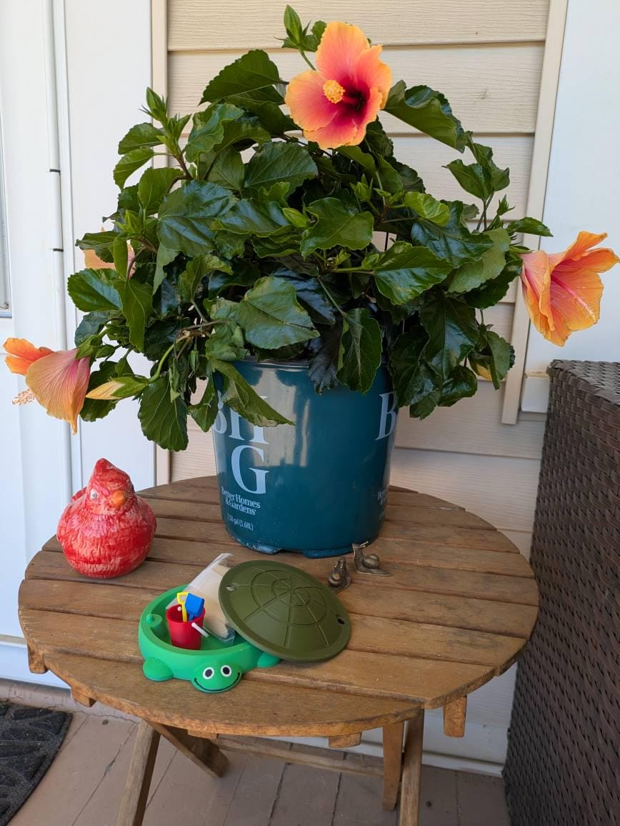 Mini Turtle Sandbox with Sand & Mini Tools - Sensory Zen Garden, 90s Nostalgia, 90s Toys, Office Decor, 4.5&quot; Small Size