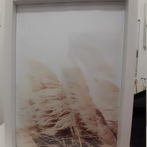 Charlotte added a photo of their purchase
