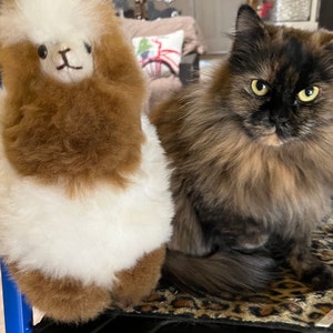 Ann added a photo of their purchase