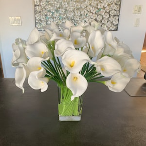 Patricia added a photo of their purchase