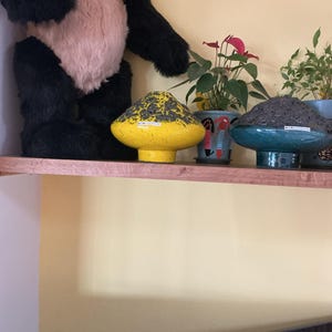 Jayne added a photo of their purchase