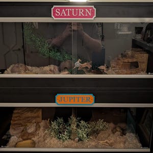 Stewart added a photo of their purchase