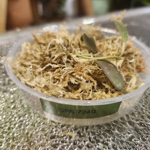 Sandra added a photo of their purchase