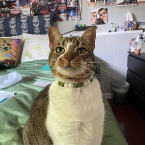 Ashley added a photo of their purchase