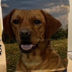 Susan added a photo of their purchase