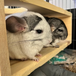 brensmueller34 added a photo of their purchase