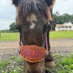 Allison added a photo of their purchase