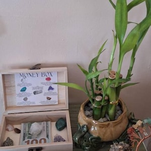 Rose a ajouté une photo de son achat