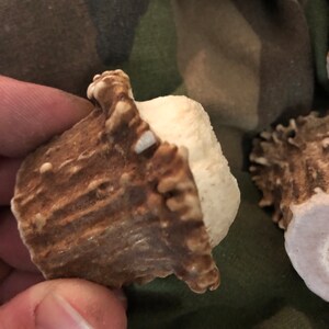 Austin ha añadido una foto de su compra