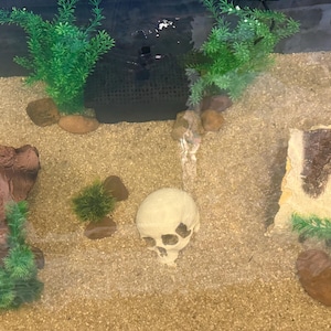 Sheena added a photo of their purchase