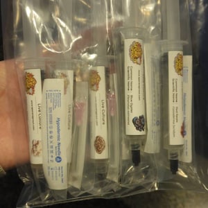 David added a photo of their purchase