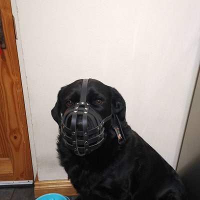 Strong Leather Dog Muzzle for Rottweiler and other similar snout | UK