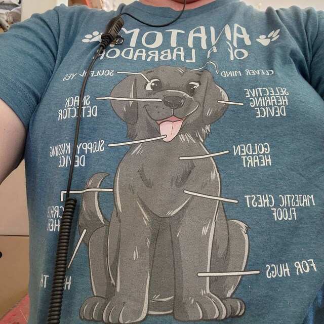 Funny labrador t shirts 2025