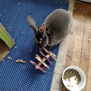 Amy added a photo of their purchase