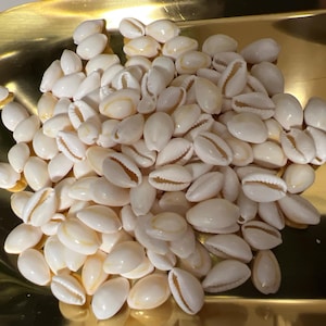 Tetiana added a photo of their purchase