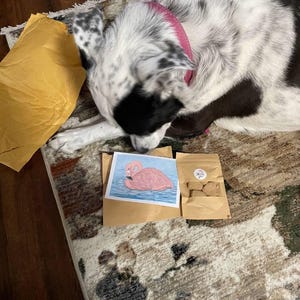 Deeanna hat ein Foto des gekauften Artikels hinzugefügt