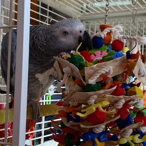 Medina added a photo of their purchase