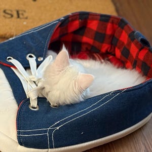 Amy added a photo of their purchase
