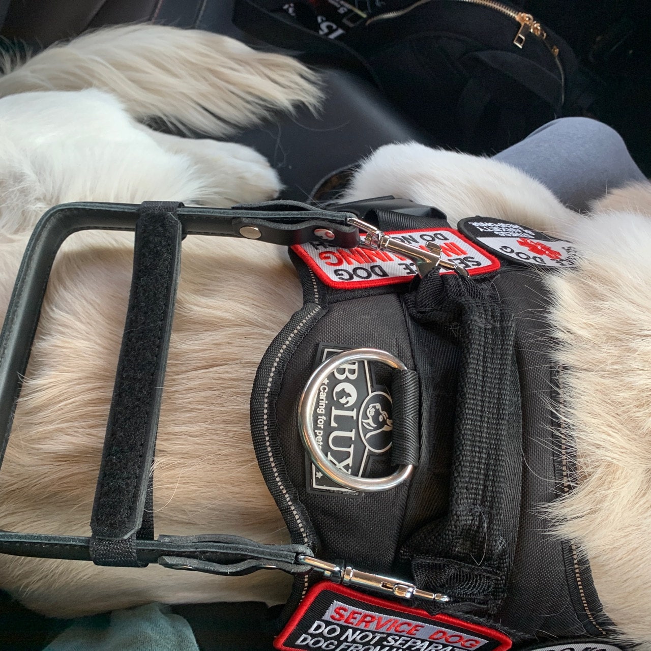 Custom Handle for your Service Dog Harness, Rigid Handle, Semi Rigid