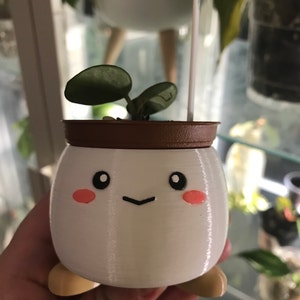 Elli added a photo of their purchase