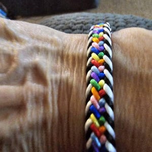 jewell added a photo of their purchase