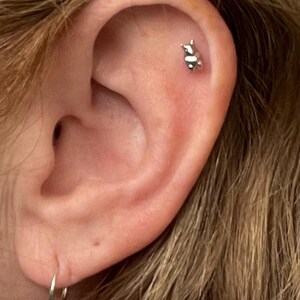 Lee added a photo of their purchase