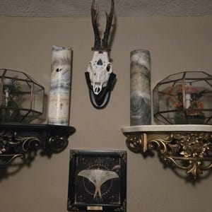 Zil added a photo of their purchase