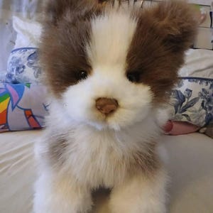 Kai added a photo of their purchase