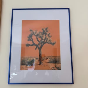Samuel added a photo of their purchase