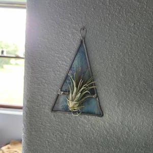 Teresa added a photo of their purchase