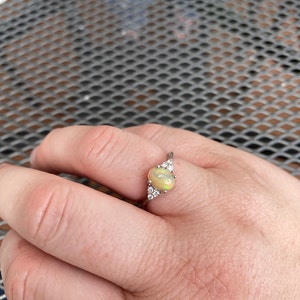 Emily added a photo of their purchase