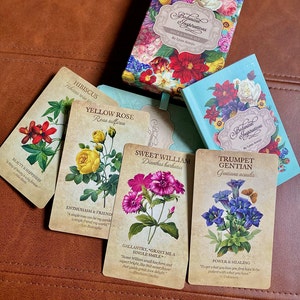 BOTANICAL INSPIRATIONS Cards DECK & Book Set by Lynn Araujo Oracle ...
