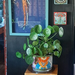 Diana added a photo of their purchase