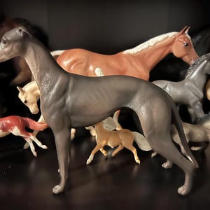 Foxy a ajouté une photo de son achat