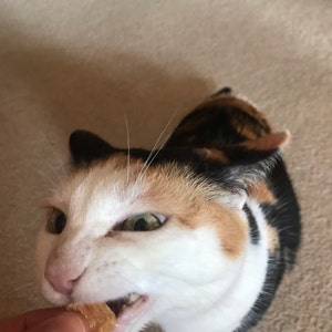 Stacey ha añadido una foto de su compra