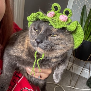 Poppy さんが購入した商品の写真を追加しました