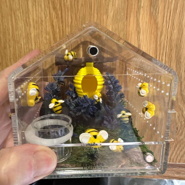 Image showcasing Waterfall Theme Enclosure - Etsy