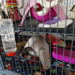 Sabine added a photo of their purchase