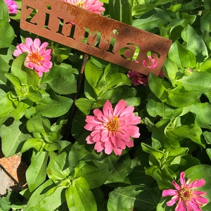 Holly added a photo of their purchase